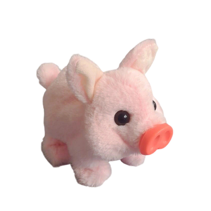 Graddi™ PiggyPal