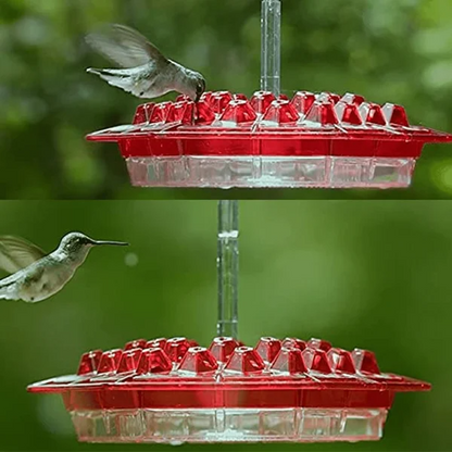 Graddi Sweety Hummingbird Feeder